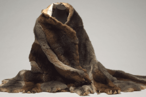 Picture of Possum cloak in the page The wonder of exploration